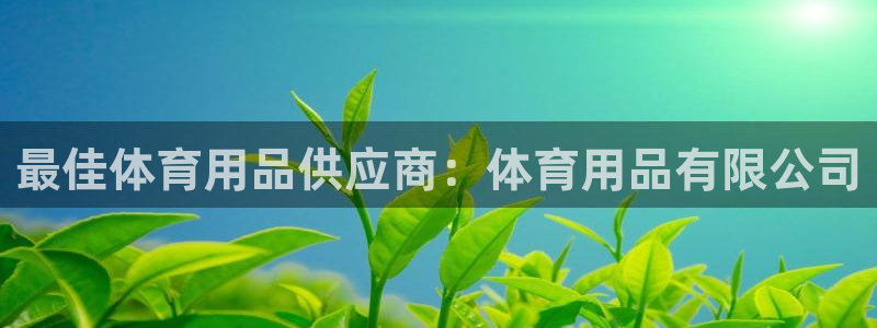 欧陆娱乐有限公司官网：最佳体育用品供应商：体育用品有