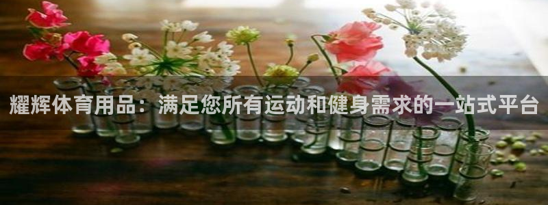 欧陆娱乐登录测速怎么关闭：耀辉体育用品：满足您所有运