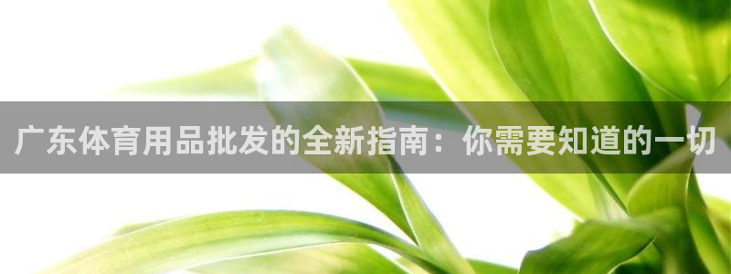 欧陆是什么平台：广东体育用品批发的全新指南：你需要知