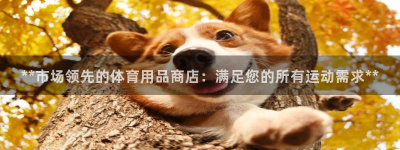 欧陆娱乐登陆平台有哪些