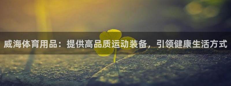 欧陆娱乐app打不开怎么回事视频：威海体育用品：提供高品质运