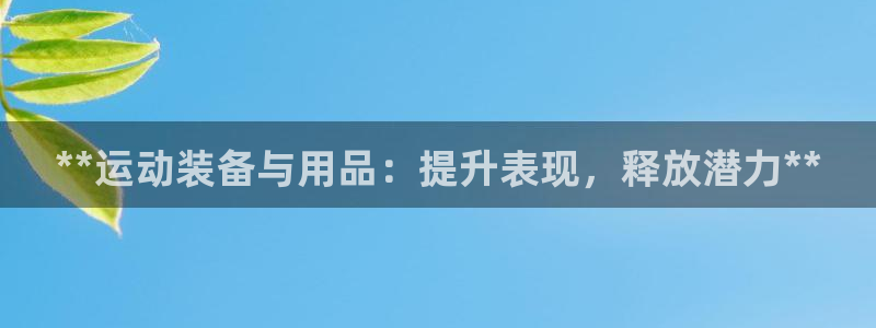 欧陆娱乐平台咋样赚钱的：**运动装备与用品：提升表现